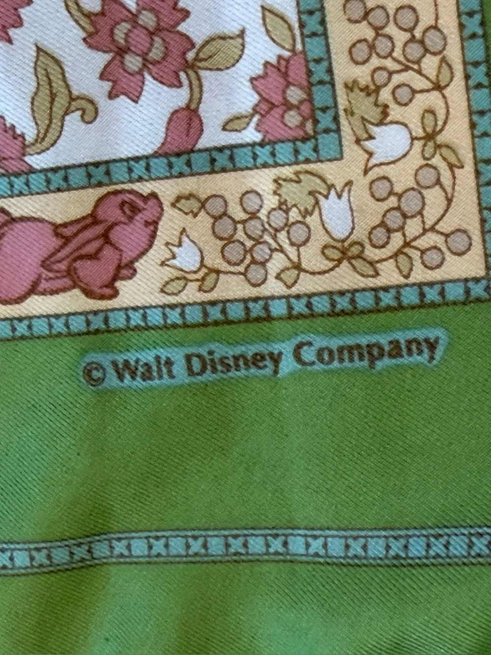 Tokyo Disneyland rare collector’s